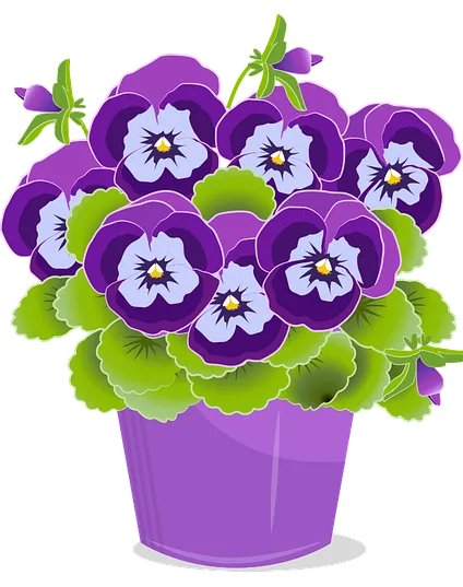 pansy 5142178 1280